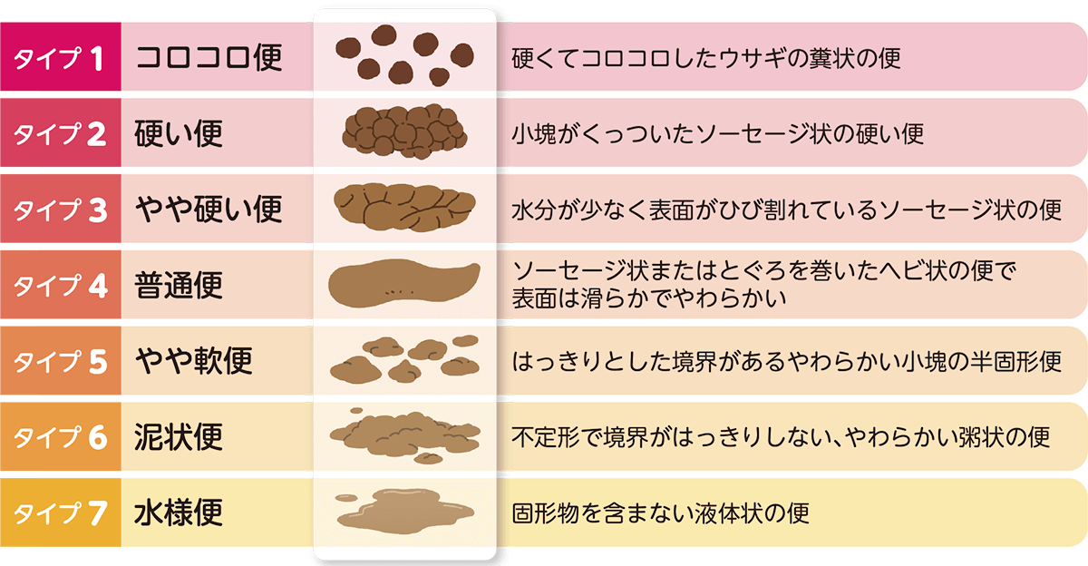 ブリストル便形状スケール