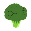 ブロッコリー