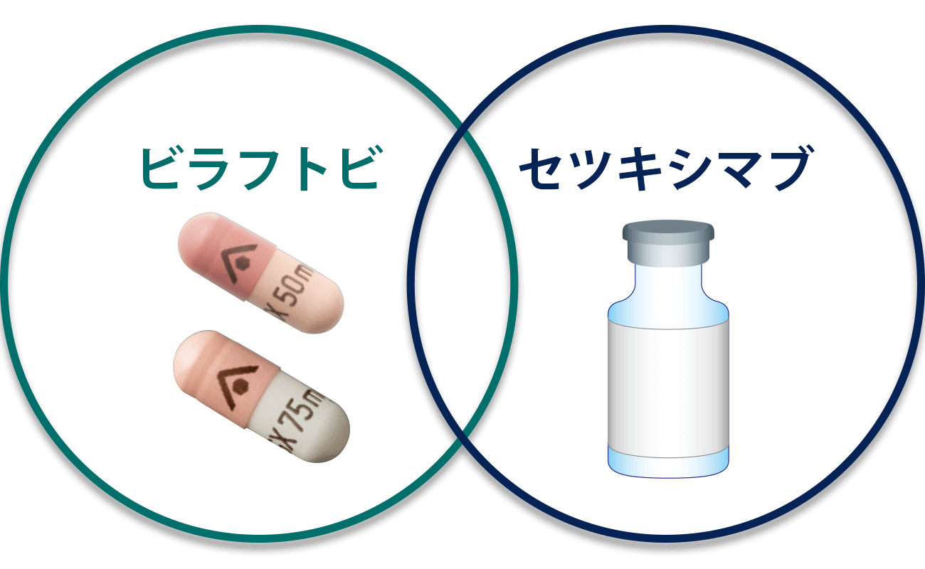 ビラフトビ・セツキシマブのはたらき