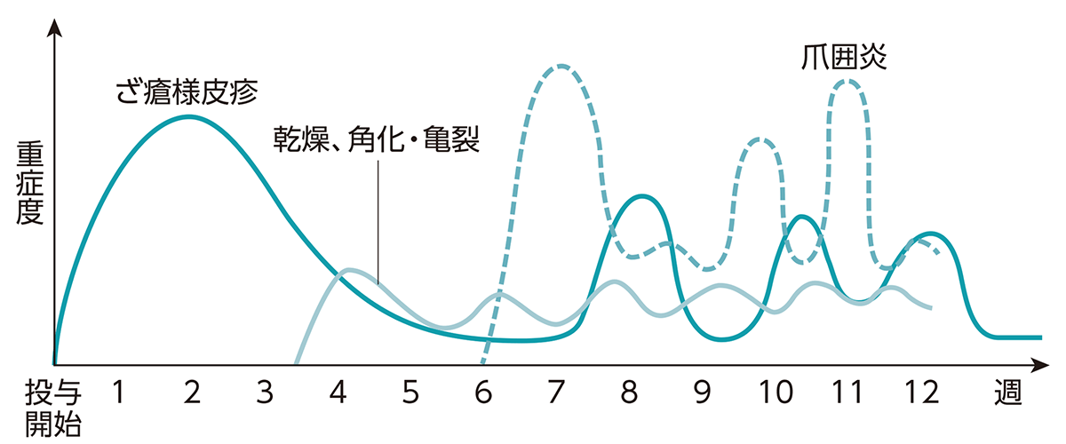 よくみられる症状と発現時期