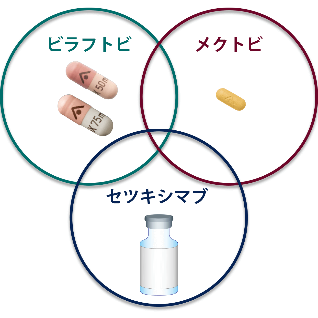 ビラフトビ・メクトビ・セツキシマブのはたらき