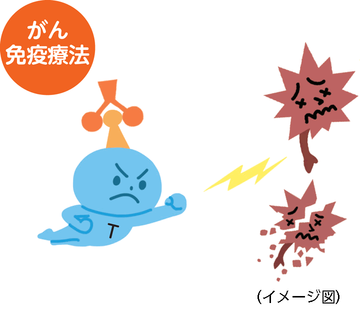 がん免疫療法のイラスト