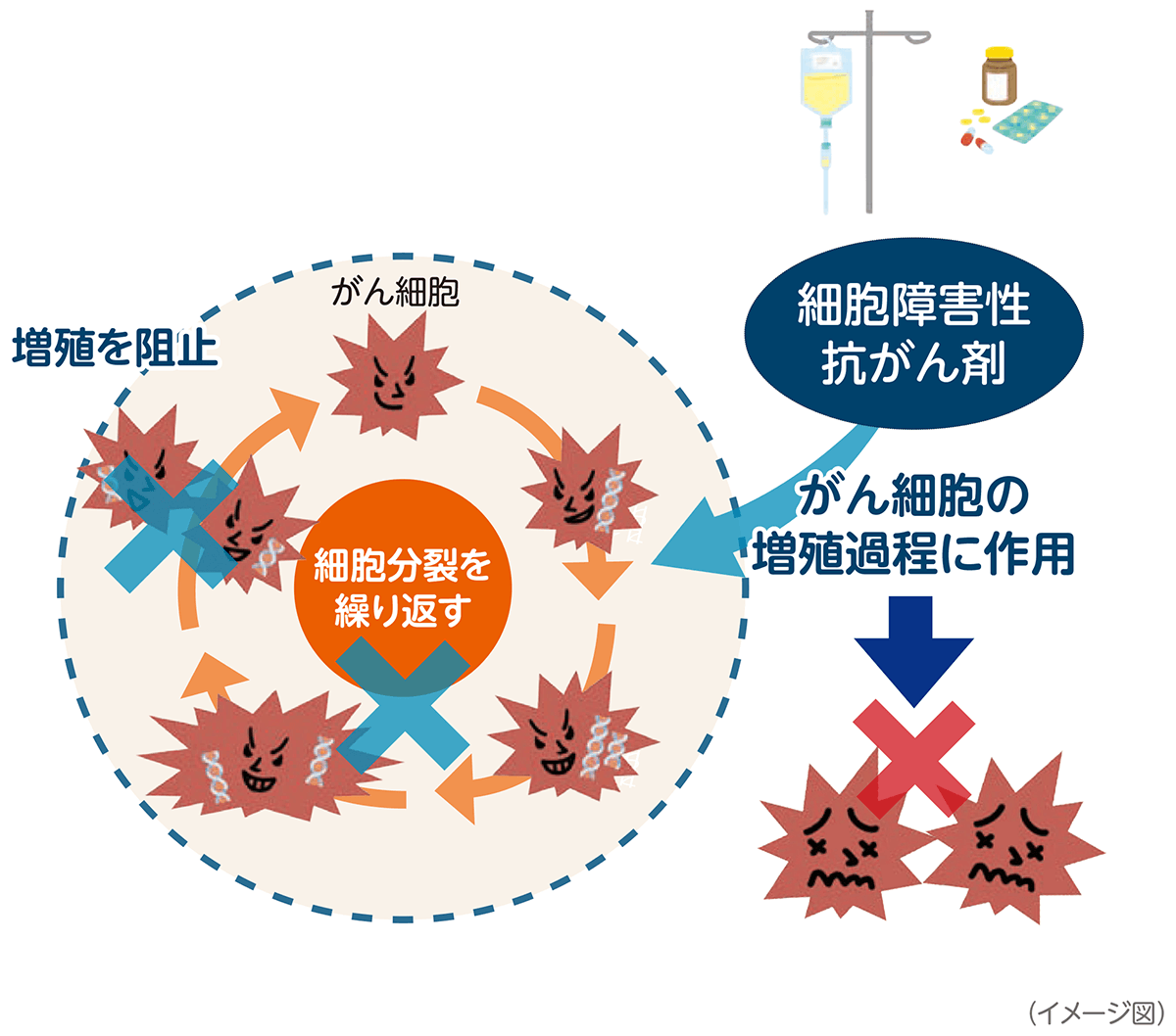 抗がん剤が働く仕組み