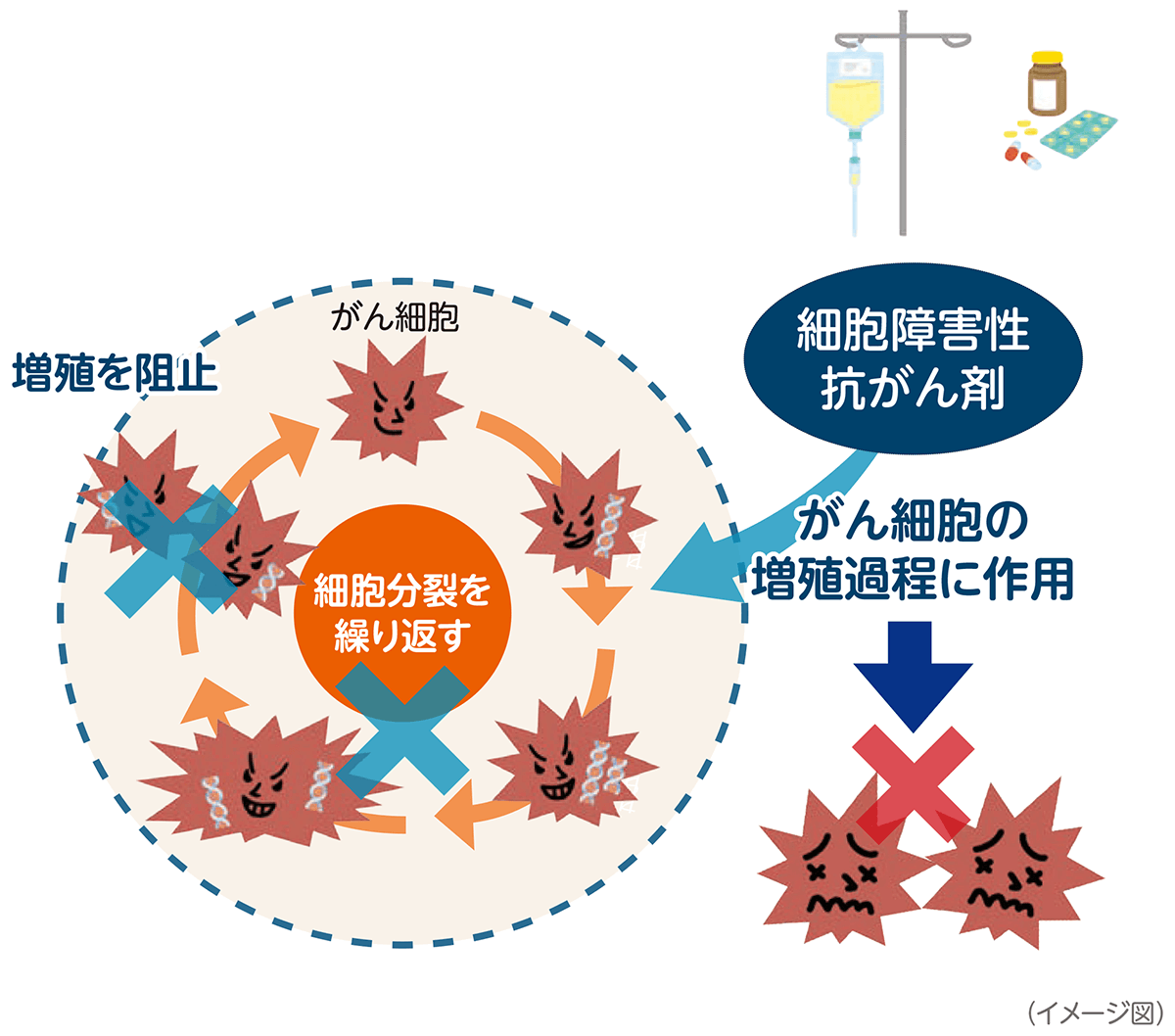 抗がん剤が働く仕組み