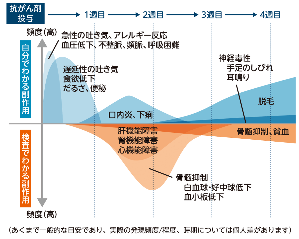 細胞障害性抗がん剤の主な副作用と出現時期の目安