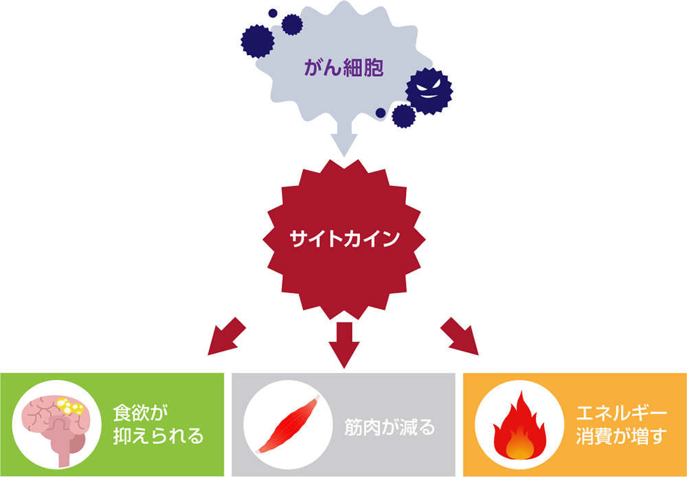 サイトカインとは