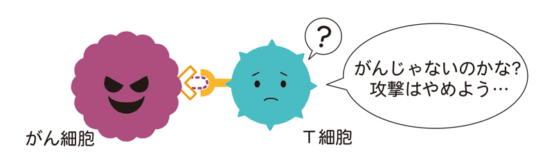 がん細胞の表面からがん抗原がなくなり（少なくなり）、免疫細胞ががん細胞を認識できない