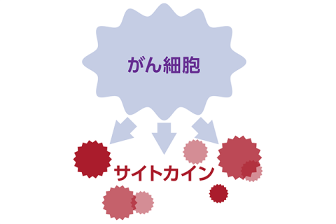 がん悪液質と「食べられない」ことの関係サムネイル