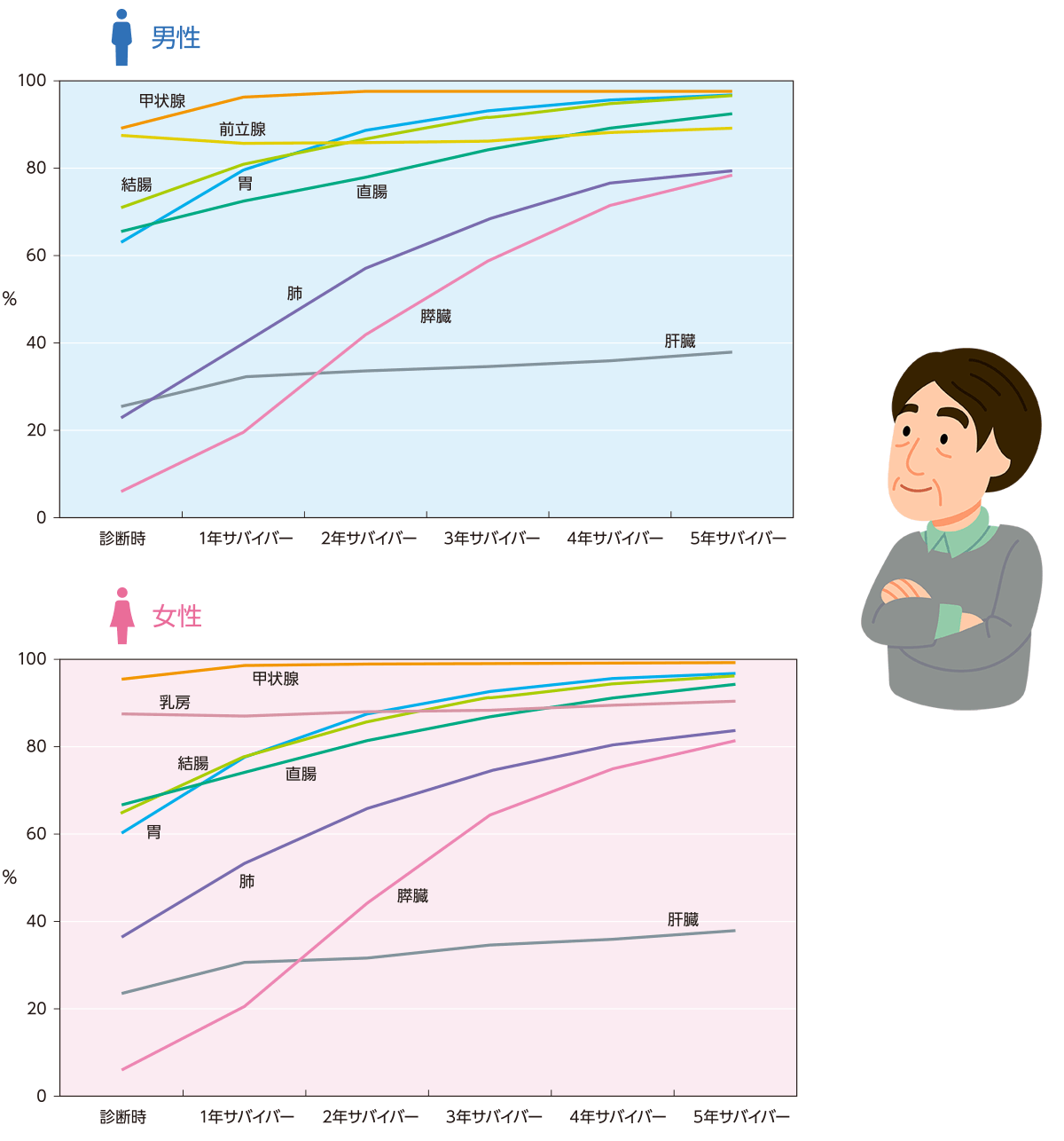 サバイバー5年相対生存率図